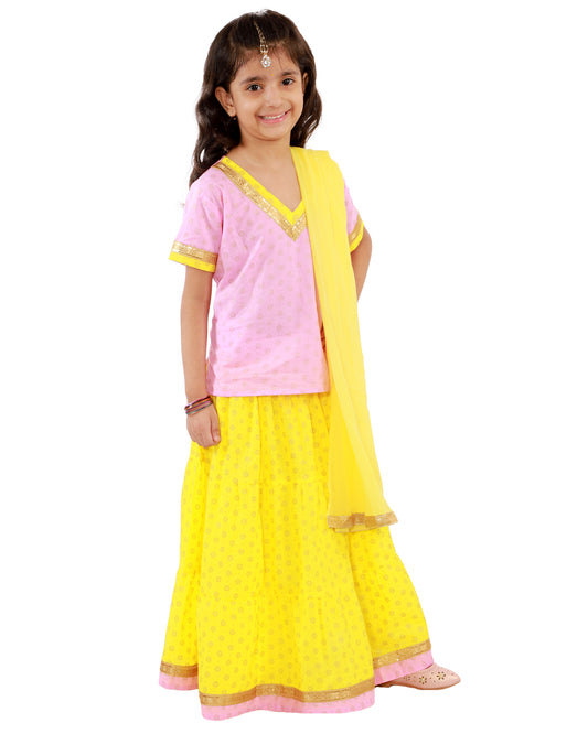 Jaipuri Lehenga Choli Set- Pink & Yellow