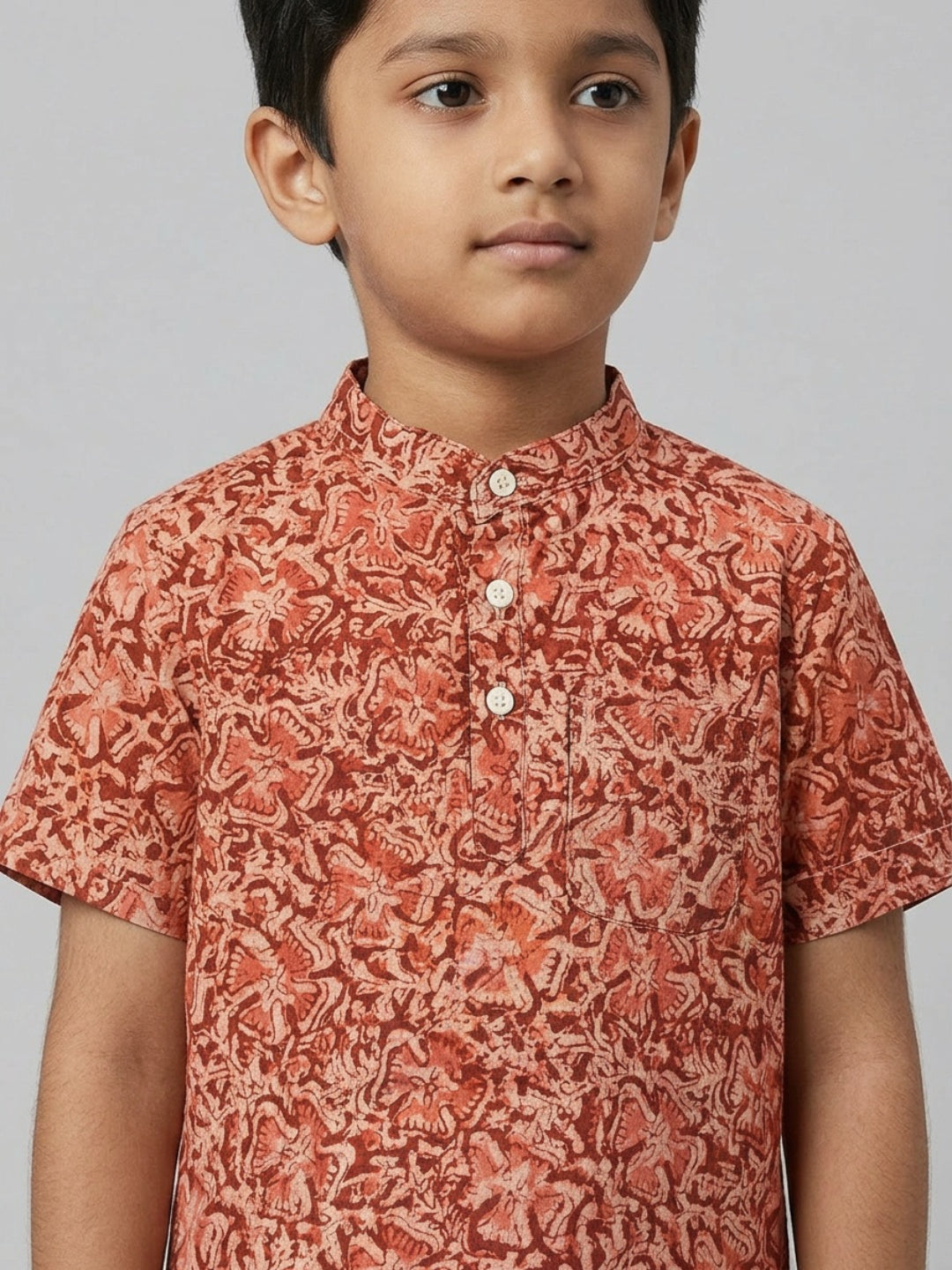 Biglilpeople Boys Ethnic Print Mandarin Collar Short Sleeves Shirt