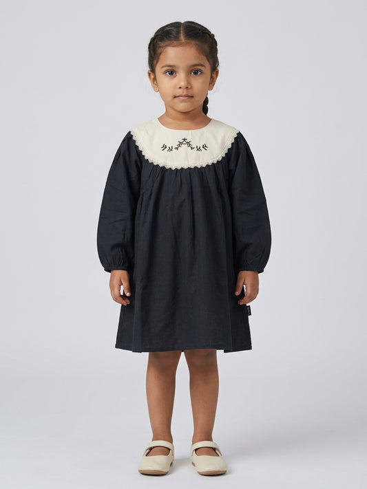Biglilpeople Girls Black Embroidered Lace Round Neck Long Sleeves A-Line Dress
