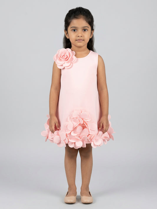Biglilpeople Girls Pink 3D Floral Round Neck Sleeveless A-Line Dress