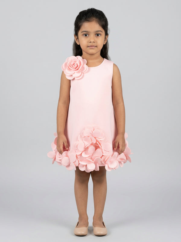 Biglilpeople Girls Pink 3D Floral Round Neck Sleeveless A-Line Dress