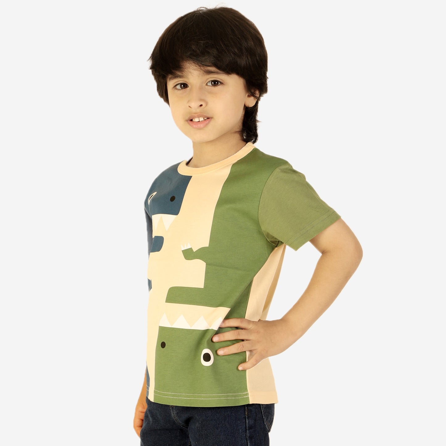 Fun Dino Print TShirt for Boys