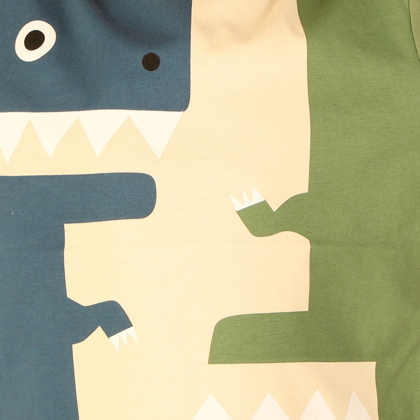 Fun Dino Print TShirt for Boys